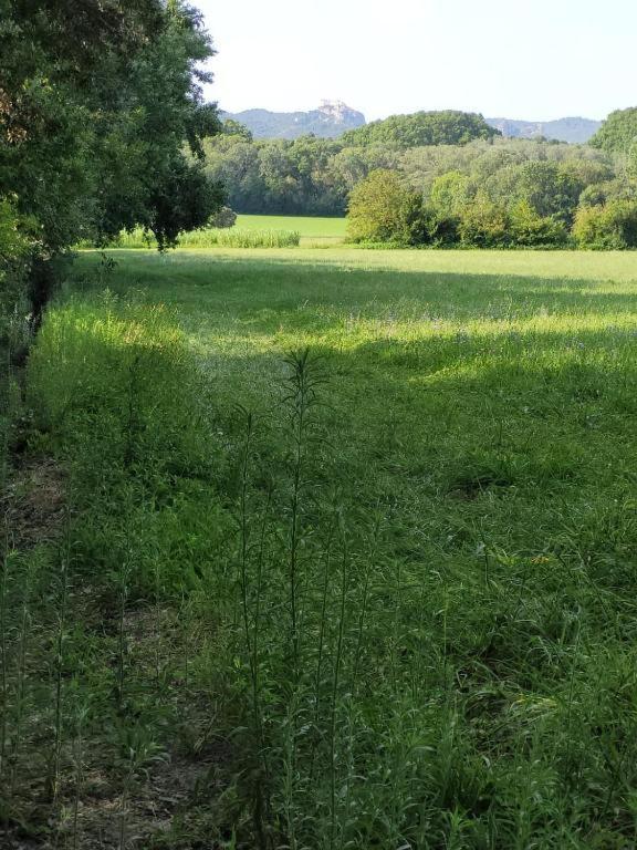 Appartement Cecile - Campagne Avec Piscine Commune - Eyragues Zewnętrze zdjęcie